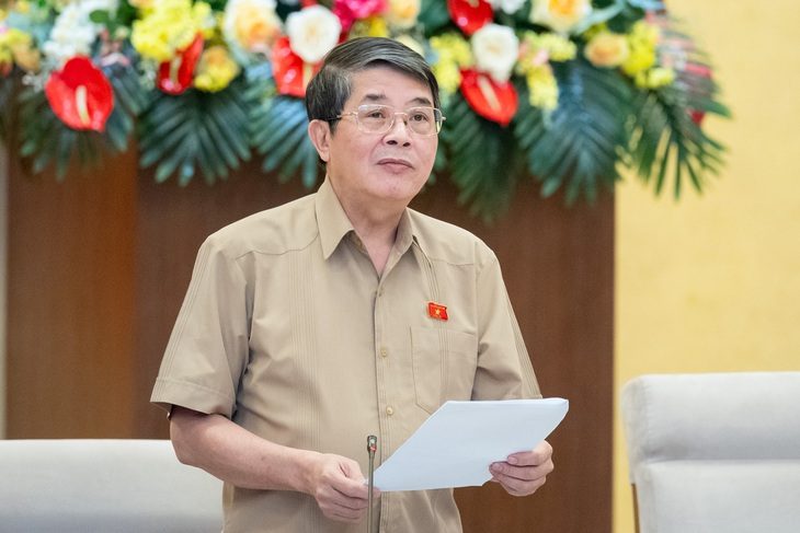 Chính phủ phải cam kết tính hiệu quả nếu 4 luật có hiệu lực sớm- Ảnh 1. Phó chủ tịch Quốc hội Nguyễn Đức Hải - Ảnh: GIA HÂN